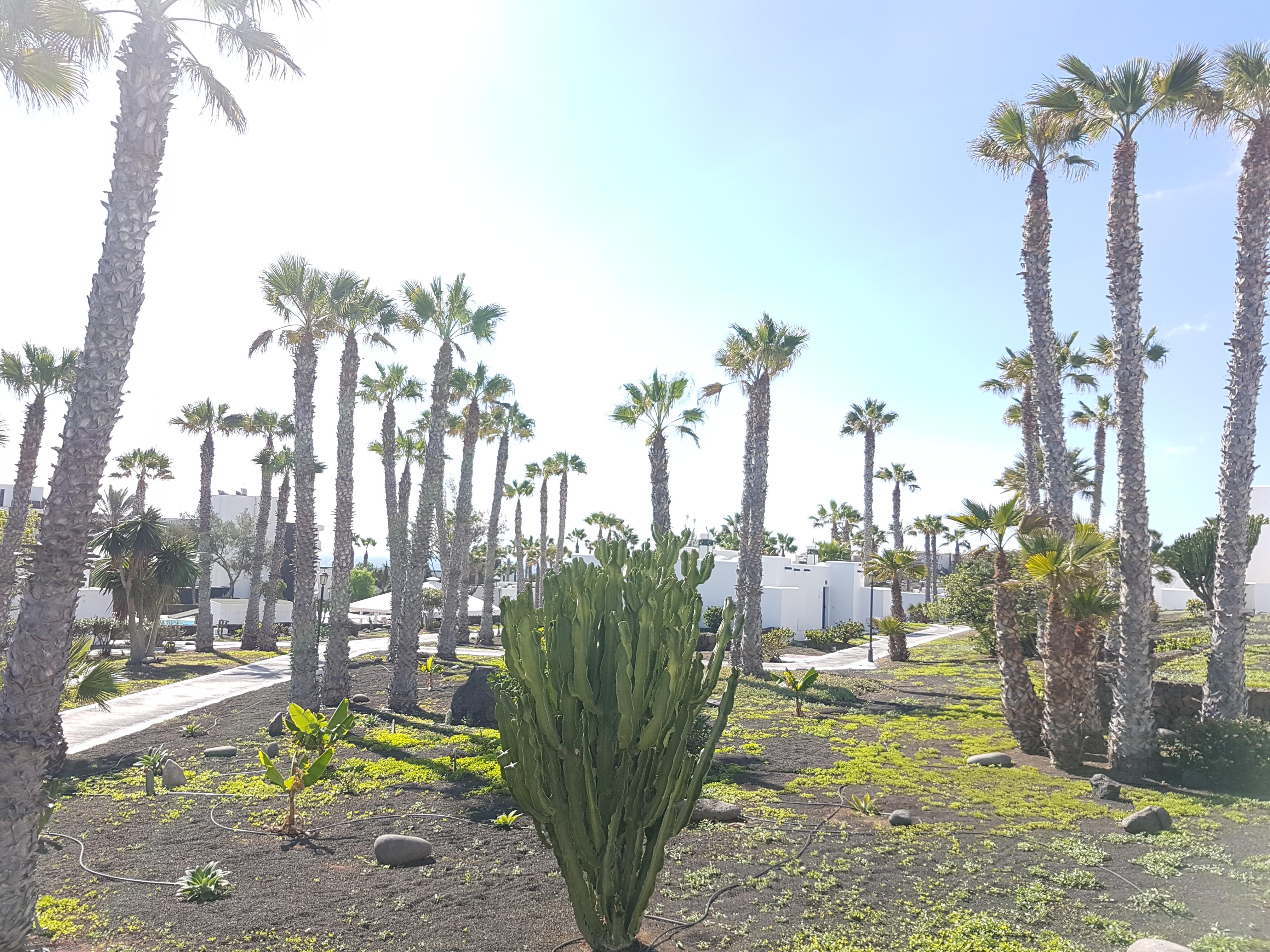 Palmeras Garden Playa Blanca Dış mekan fotoğraf